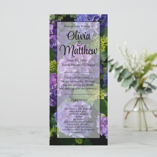 Elegantes blaues lila Magenta grünes Hydrangea (Stehend Vorderseite)