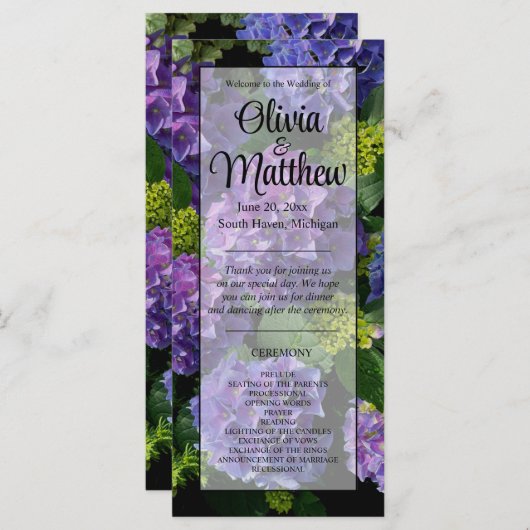 Elegantes blaues lila Magenta grünes Hydrangea (Vorne/Hinten)