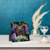 Elegantes blaues lila Magenta grünes Hydrangea Fotoplatte (InSitu)