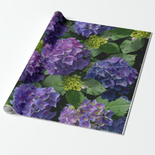 Elegantes blaues lila Magenta grünes Hydrangea Geschenkpapier