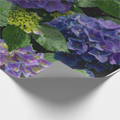Elegantes blaues lila Magenta grünes Hydrangea Geschenkpapier (Ecke)