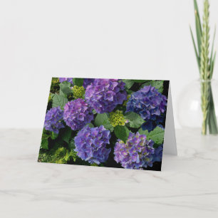Elegantes blaues lila Magenta grünes Hydrangea Karte