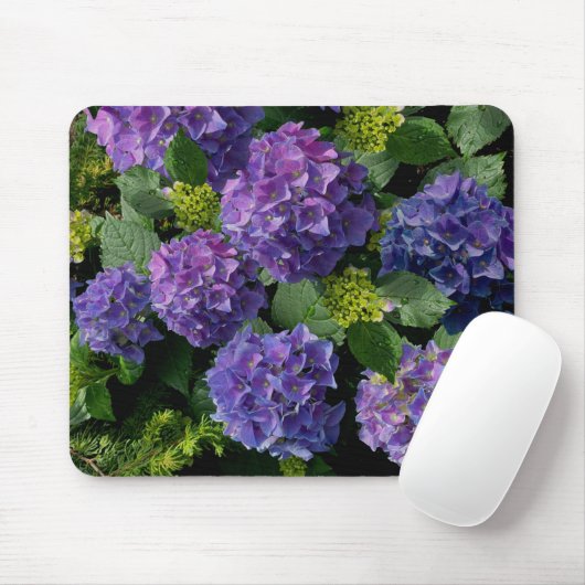Elegantes blaues lila Magenta grünes Hydrangea Mousepad (Mit Mouse)