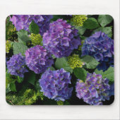 Elegantes blaues lila Magenta grünes Hydrangea Mousepad (Vorne)