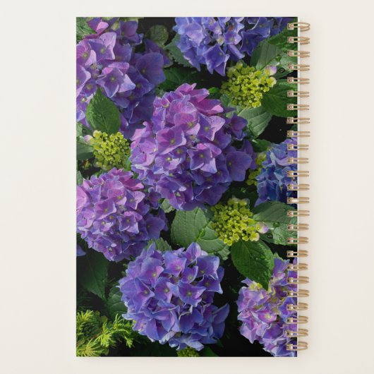 Elegantes blaues lila Magenta grünes Hydrangea Planer (Rückseite)