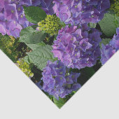 Elegantes blaues lila Magenta grünes Hydrangea Seidenpapier (Ausschnitt)