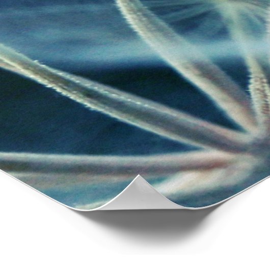 Elegantes Blue Dandalion Botanisches Makro Abstrak Poster (Ecke)