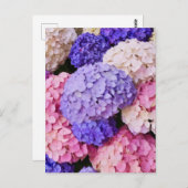 Elegantes Blue Hydrangea-Blumenbild Postkarte (Vorne/Hinten)