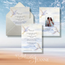 Elegantes Blue Ocean Beach Coastal Cranes w Foto