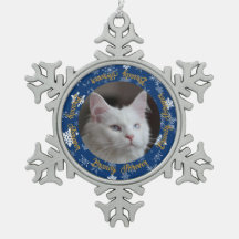 Elegantes Blue Snowflake Cat Foto Custom Christmas