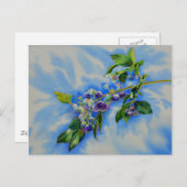 Elegantes Blueberry-Aquarellbild Postkarte (Vorne/Hinten)