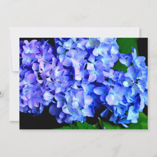 Elegantes blühendes Hydrangeas-Brautparty Einladung (Rückseite)