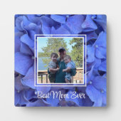 Elegantes, blühendes Hydrangeas Fotoplatte (Vorderseite)