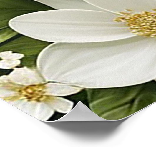 Elegantes Blumendesign Poster (Ecke)