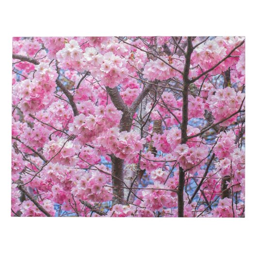 Elegantes Blumengestationdesign Notizblock (Vorderseite)