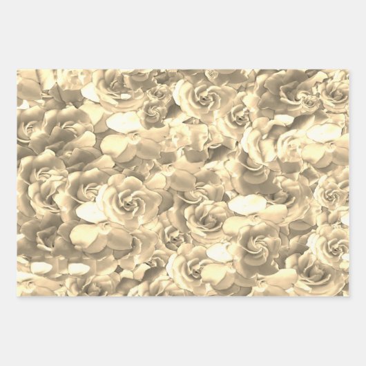 Elegantes Blumenmuster-Rose Petal-Muster Geschenkpapier Set (Vorderseite 2)