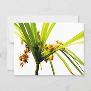 Elegantes botanisches Muster Postkarte