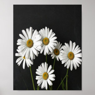 Elegantes botanisches Stillleben von strahlend wei Poster