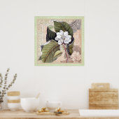 Elegantes Botanisches Südliches Poster Magnolia (Küche)