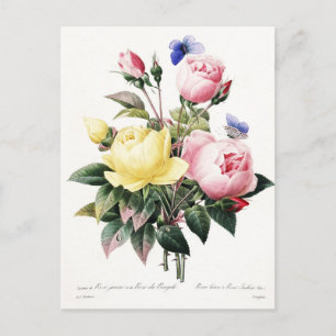 Elegantes botanisches Vintage-Wasserfarben-Rosenbo Postkarte