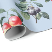 Elegantes botanisches Vintages Frucht Soft Blue Geschenkpapier (Rolleneckpunkt)