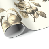Elegantes botanisches Vintages Fruchtbeige Geschenkpapier (Rolleneckpunkt)