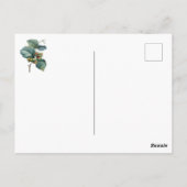 Elegantes botanisches Vintages Hazelnussfrucht Postkarte (Rückseite)
