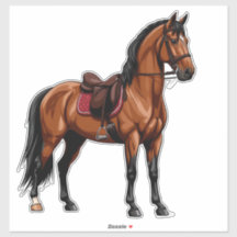 Elegantes braunes Pferd