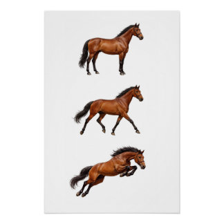 Elegantes Braunpferd Wandkunst Poster