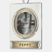 Elegantes Cat Foto Golden Metallic Banner-Ornament Silber (Links)
