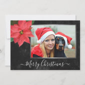 Elegantes Chalkboard Poinsettia Weihnachtsfest Fot Feiertagskarte (Vorderseite)