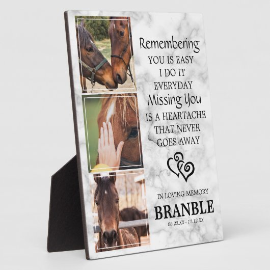 Elegantes Chic Horse Memorial Fotoplatte (Seite)