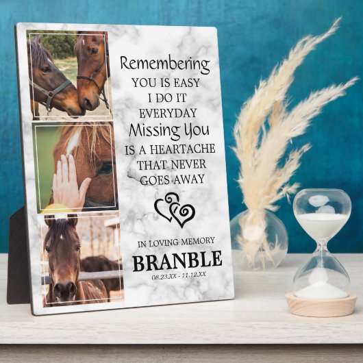 Elegantes Chic Horse Memorial Fotoplatte (Seite)