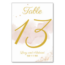Elegantes Chic Mauve Watercolor Gold Spritzer Scri