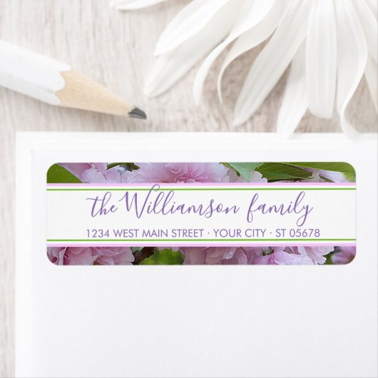 Elegantes Chic Pink Spring Cherry Blossom Tree Fot (Insitu)