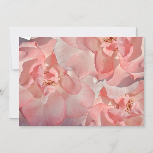 Elegantes Coral Pink Floral Foto Vielen Dank Dankeskarte (Rückseite)