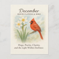 Elegantes Dezember-Schrift-Christen-Kardinal