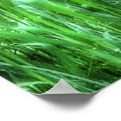 Elegantes Doe Female Deer Wildlife Foto Poster (Ecke)