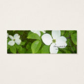 Elegantes Dogwood Save the Date (Rückseite)