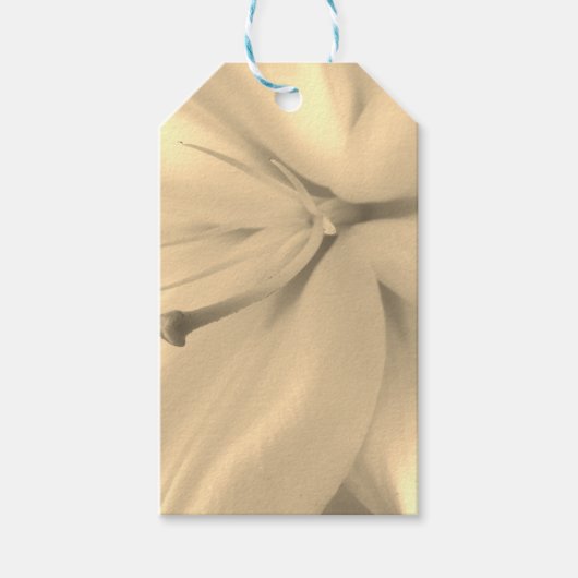 Elegantes, einfarbiges Foto Geschenkanhänger (Vorderseite)