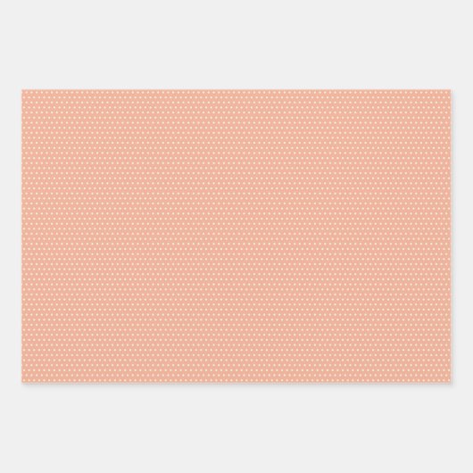 Elegantes englisches Shabby Chic Blumenmuster Geschenkpapier Set (Vorderseite 2)