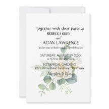 Elegantes eukalyptus botanisches Foto