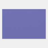 Elegantes florales Muster Lila Cream Lilac Geschenkpapier Set (Vorderseite 2)