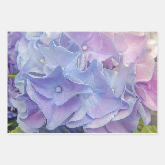 Elegantes Florals Wrapping Paper Flat Sheet Set Geschenkpapier Set (Vorderseite)