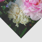 Elegantes Foto aus rosa, blühenden Pinien Seidenpapier (Ausschnitt)