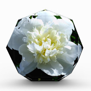 Elegantes Foto aus weißer Blume mit Blumen Acryl Auszeichnung
