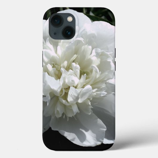 Elegantes Foto aus weißer Blume mit Blumen Case-Mate iPhone Hülle (Rückseite)