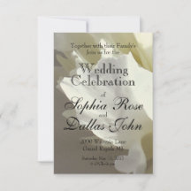 Elegantes Foto aus weißer Blume mit Blumen