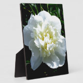 Elegantes Foto aus weißer Blume mit Blumen Fotoplatte (Seite)