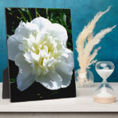 Elegantes Foto aus weißer Blume mit Blumen Fotoplatte (Seite)